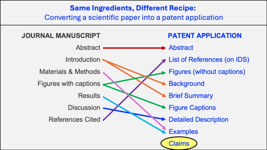A graphic comparing the parts of a scientific publication to the parts of a patent application to show substantial overlap in the structure of both